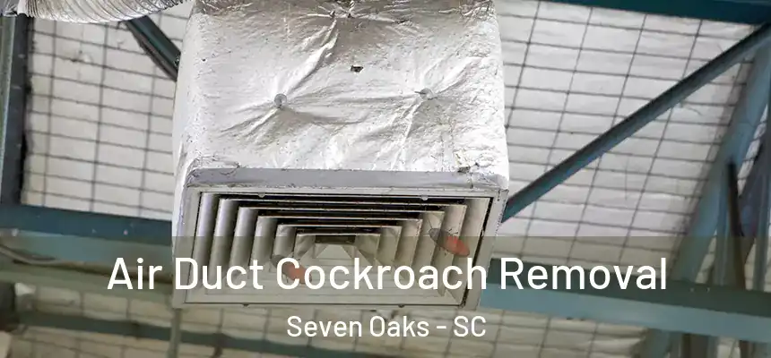  Air Duct Cockroach Removal Seven Oaks - SC