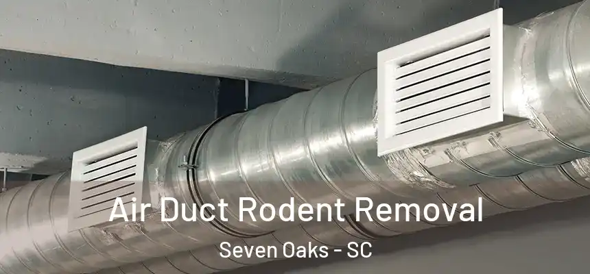  Air Duct Rodent Removal Seven Oaks - SC