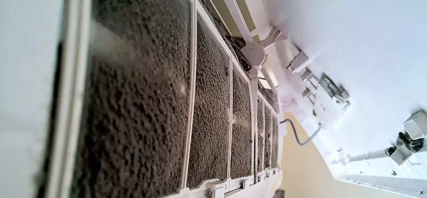 Preventive Air Duct Bacteria Removal in Seven Oaks