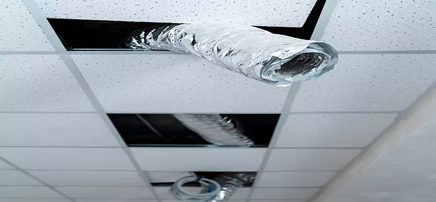 Our Air Duct Pet Hair Removal Services in Seven Oaks, SC