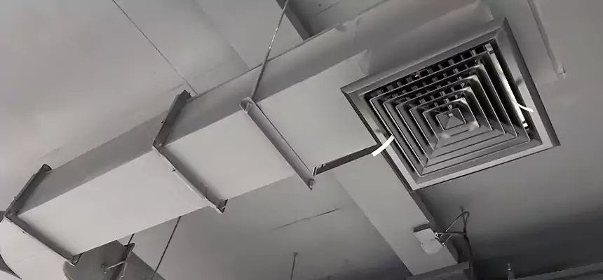 Restorative Allergy Relief Vent Cleaning – Coil, Blower & Housing Detail in Seven Oaks