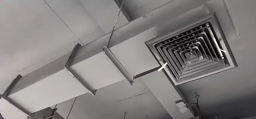 Our Pest Removal From Ducts Services in Seven Oaks, SC