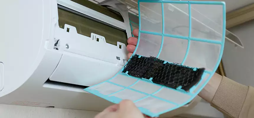 Gentle Ductwork Odor-Control Pet Dander Duct Cleaning in Seven Oaks, SC