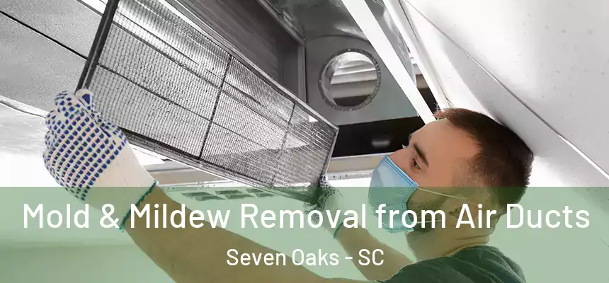  Mold & Mildew Removal from Air Ducts Seven Oaks - SC