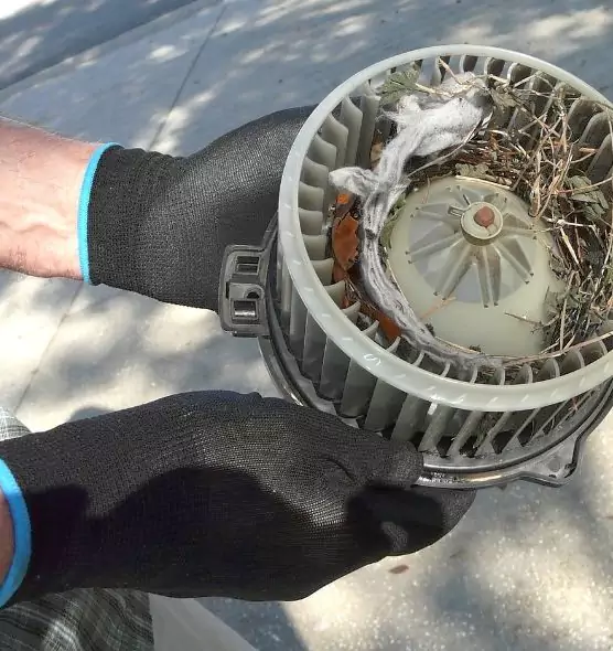 About Air Duct Mice Removal in Seven Oaks, SC