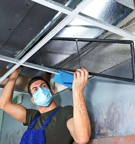 Professional Air Duct Pollen Cleaning in Seven Oaks, SC