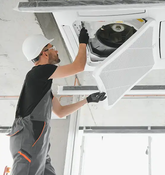 About Air Duct Rodent Removal in Seven Oaks, SC