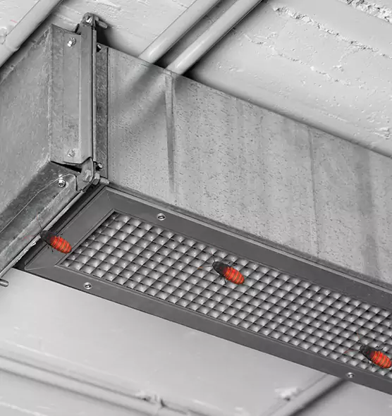 Affordable Insect Removal from Air Ducts in Seven Oaks, SC