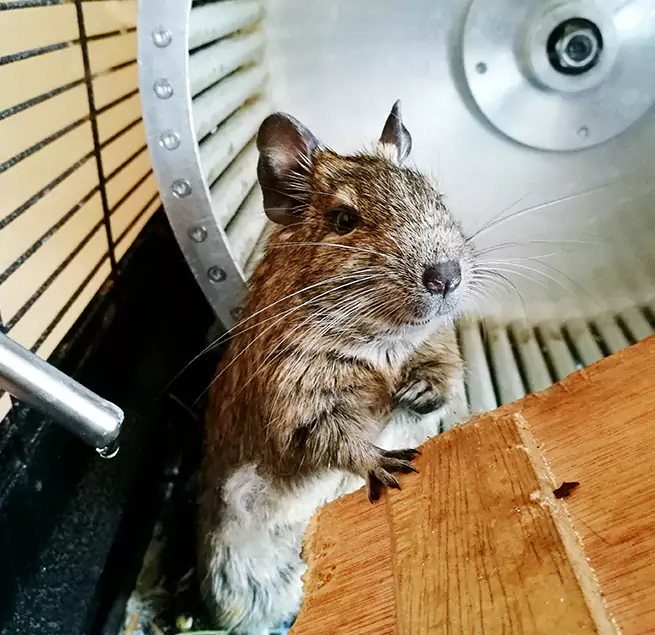 Why Homeowners & Businesses Trust Us Seven Oaks, SC?