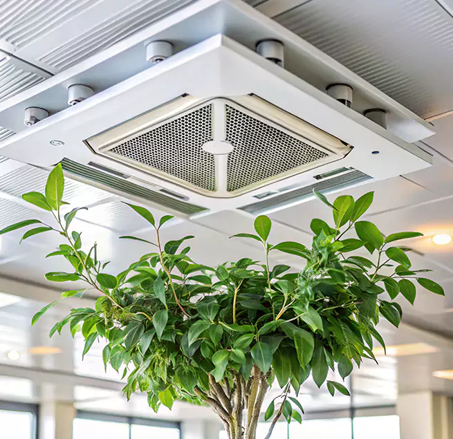 Why Homeowners & Businesses Trust Us in Seven Oaks, SC?